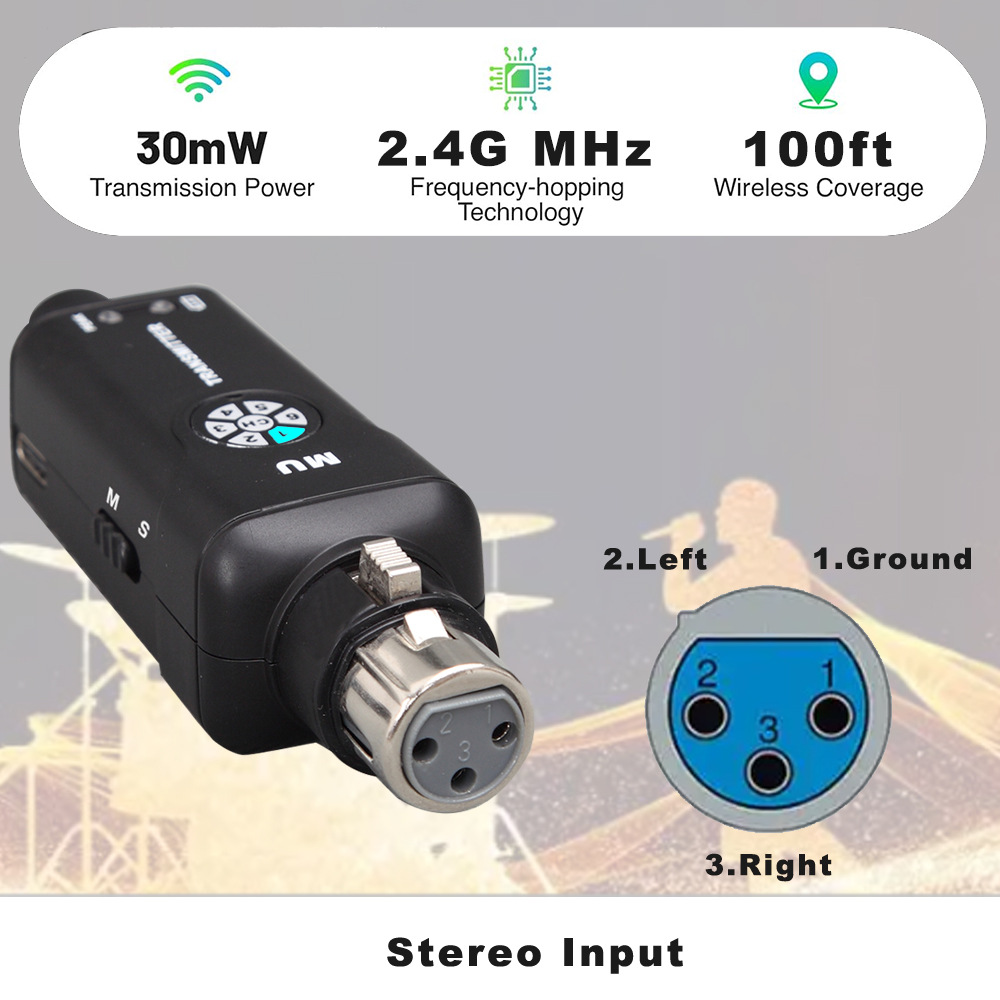 2.4G Wireless In Ear Monitor S - In Ear Monitors For Singers 评论和价格